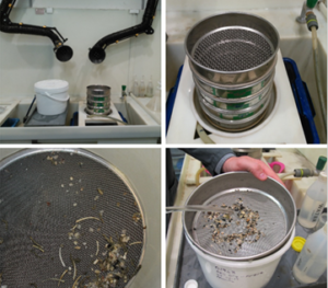 Sieving a sample