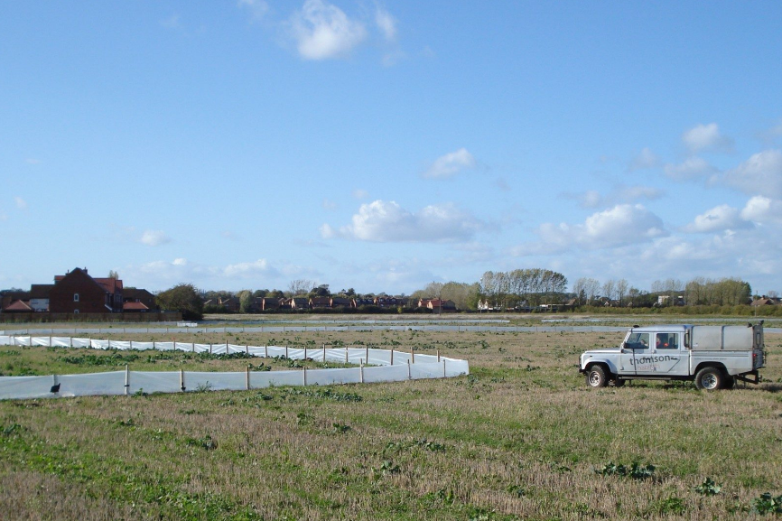 Great crested newt fencing