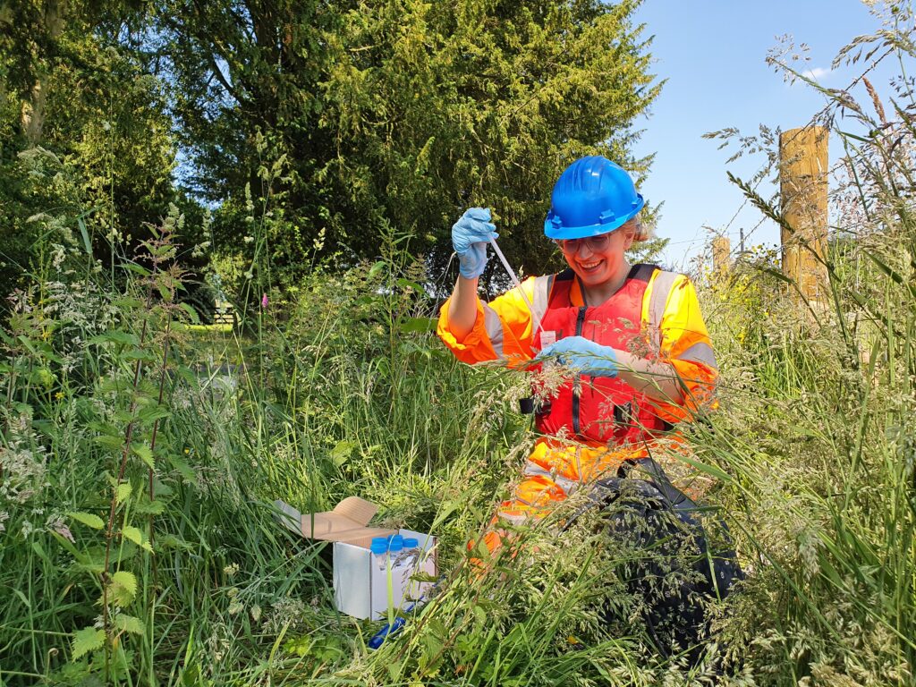 Great crested newt eDNA survey