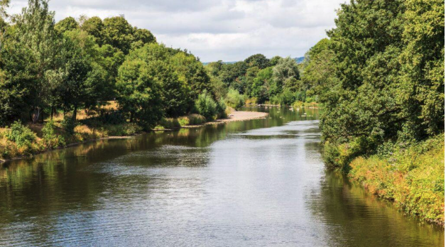 Biodiversity Net Gain Consultants | Thomson