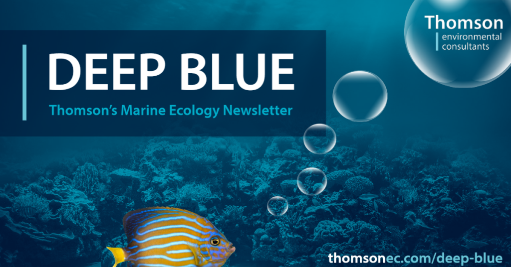 Deep Blue Thomson environmental consultants marine ecology newsletter