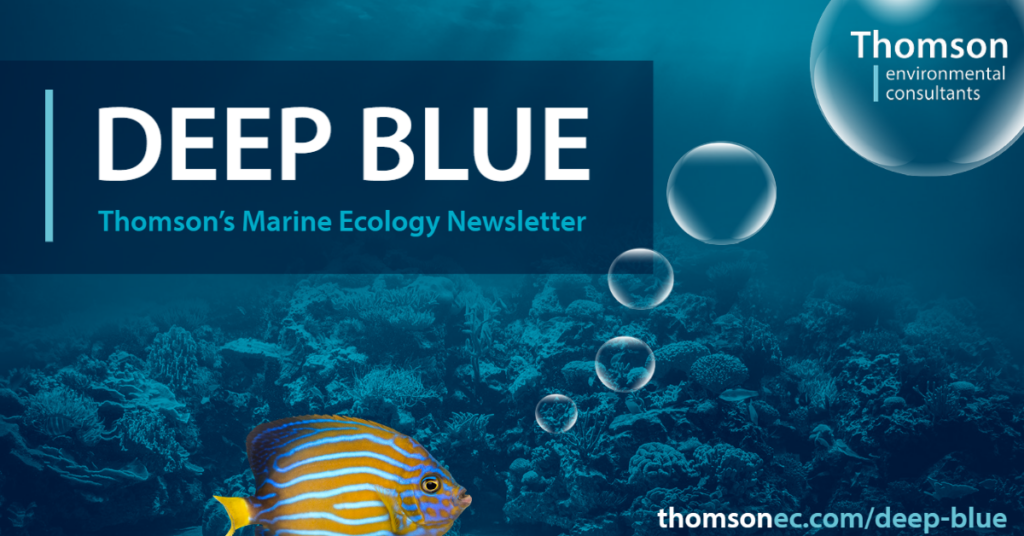 Deep Blue Thomson environmental consultants marine ecology newsletter