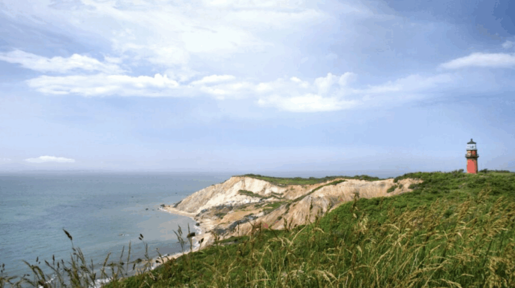 Interactive mapping at Thomson EC