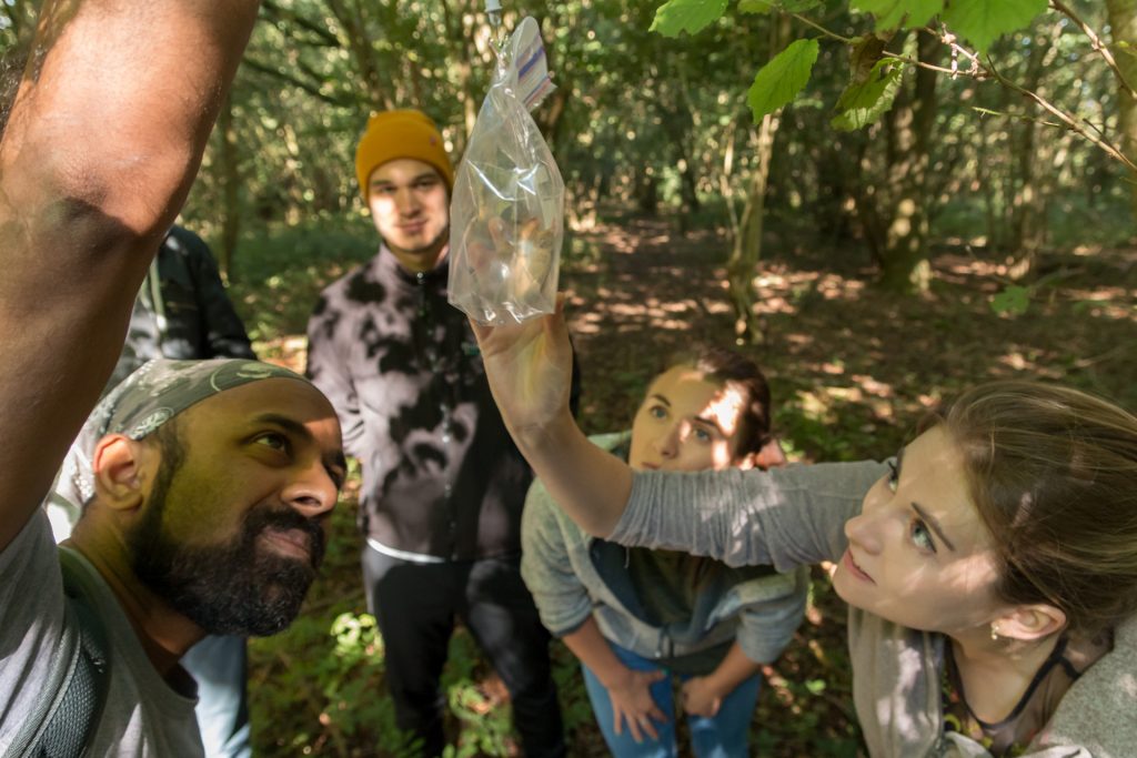 Heather Clayson, Assistant Ecologist (far right), on a dormouse survey