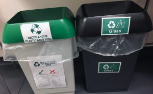 Recycling bins in the Thomson kitchen © Thomson Environmental Consultants