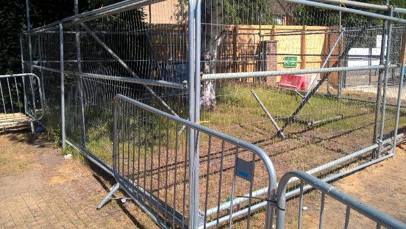 Thomson Ecology tree protection fencing around a silver birch