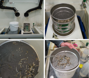 Sieving a sample 