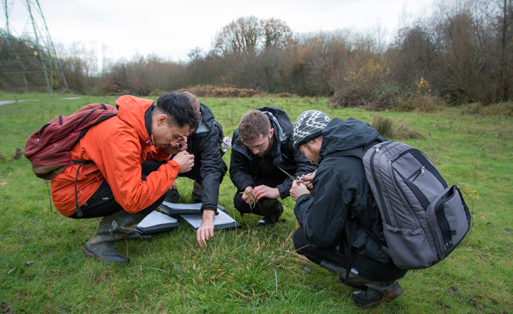 Assistant Ecologists examining grasses © Matt Wisby / Thomsonec.com