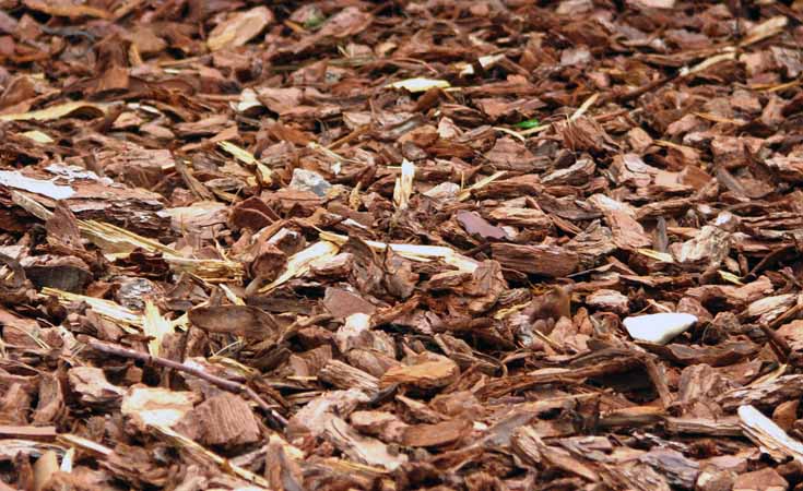 Wood chippings © Blandine Géneau / Flickr