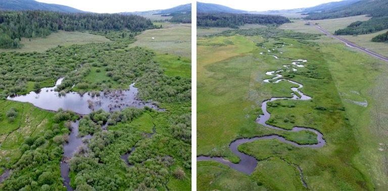 Two sections of the River Utah, where the North American beaver is present on the left, and absent on the right. Credit: Stacy Passmore, “Landscape with Beavers,” Places Journal, July 2019