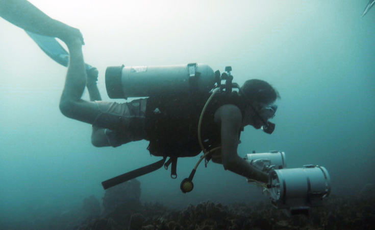 Measuring biomass and species richness with a stereo video camera for a reef fish monitoring project, Utila, Honduras, 2016 © Alex Charlesworth