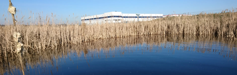 Receptor pond, London Gateway Port © Joe Salkeld / Thomsonec