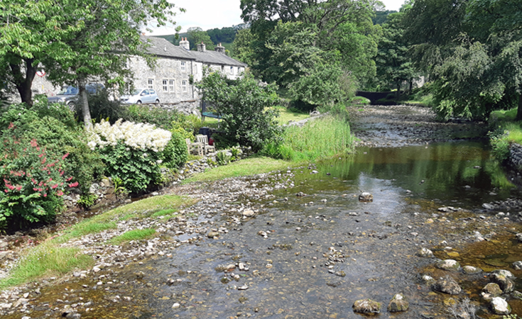 White-clawed crayfish: Ribble and Lune tributary, Settle, Yorkshire © Joe Salkeld / Thomsonec.com