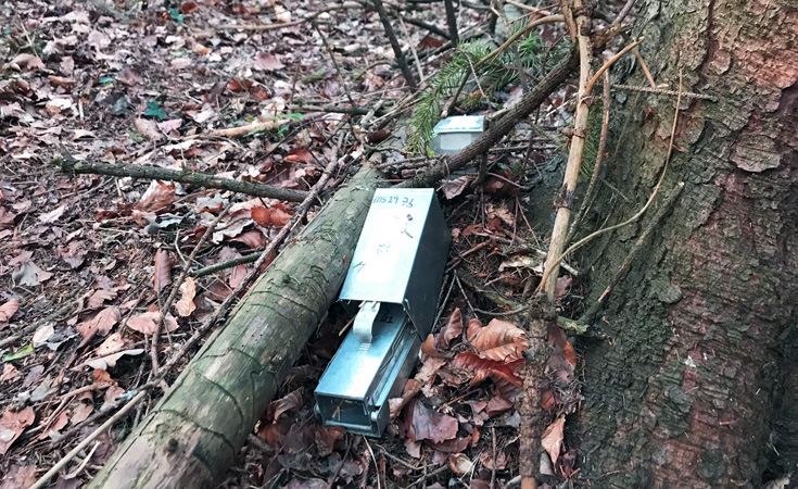 Longworth traps in situ © Kirsty North / Thomsonec.com