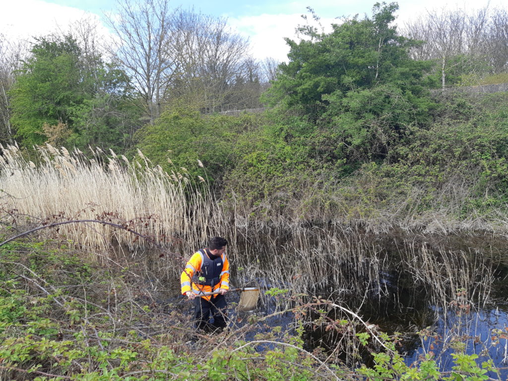 Macroinvertebrate sampling of river