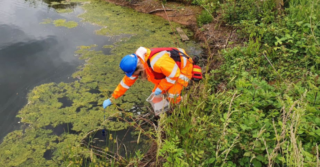 great crested newt eDNA ecology survey