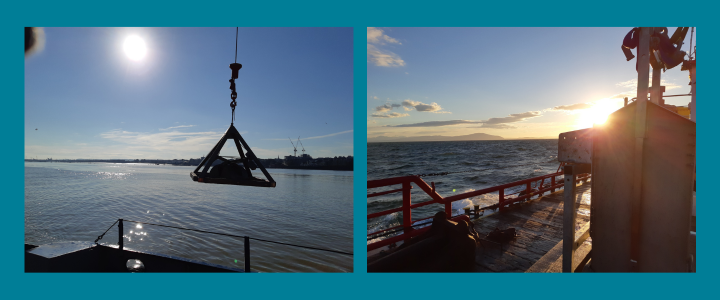 Figure 1. A sunny day of surveying on the Thames in Tilbury