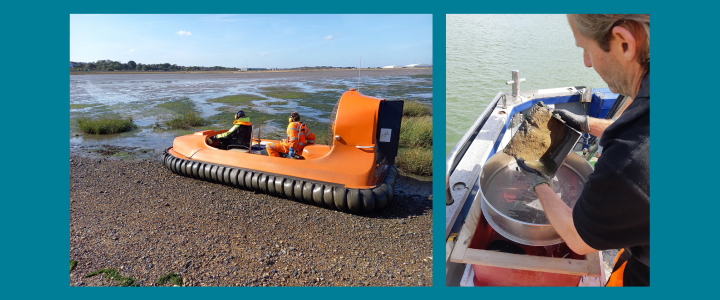 Figure 2. Using a hovercraft in Harwich and sieving samples during the subtidal survey