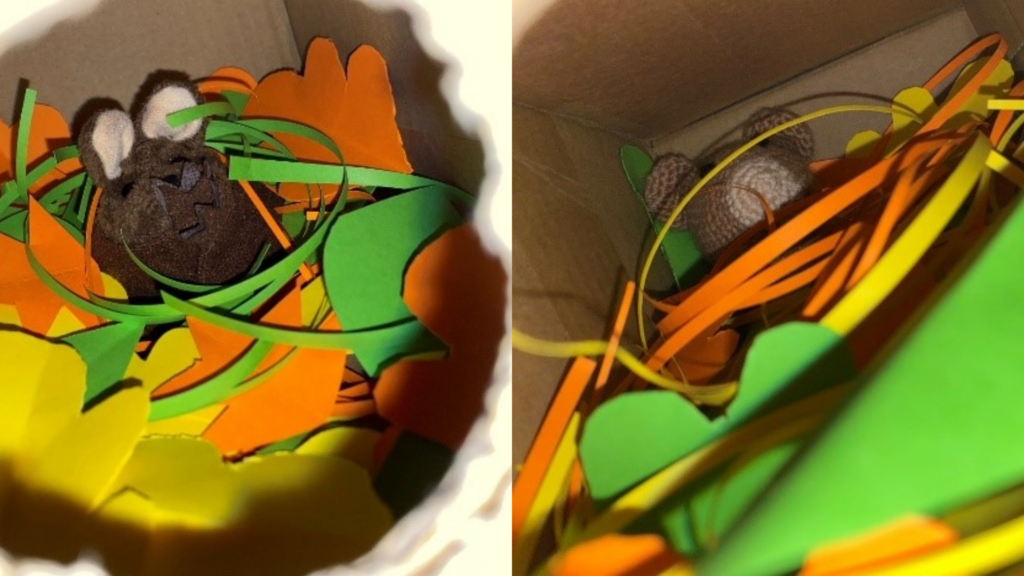 Thomson school visit