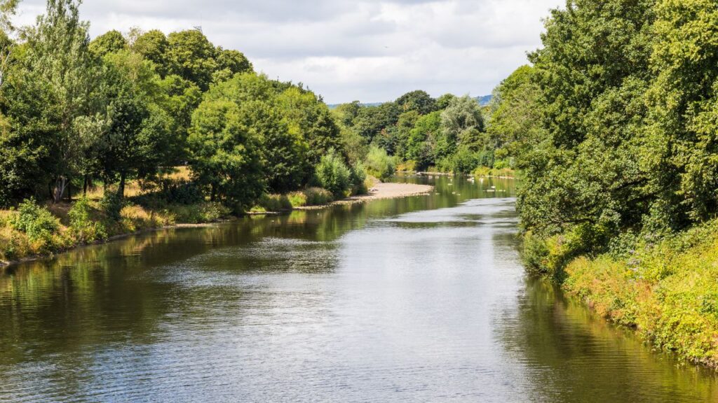 UK river - biodiversity net gain 