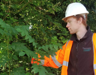 A day in the life of… Byron Humphries, Assistant Ecologist © Thomsonec.com