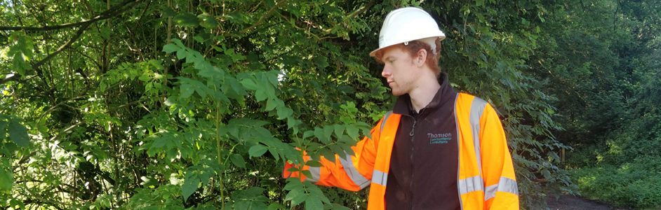 A day in the life of… Byron Humphries, Assistant Ecologist © Thomsonec.com