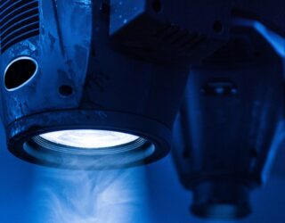 Through the lens: Sabellaria 1