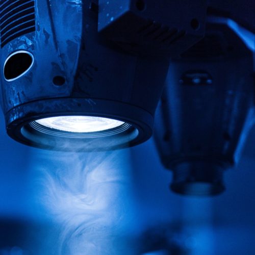 Through the lens: Sabellaria 1