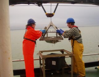 What being ‘protected’ protects against 1