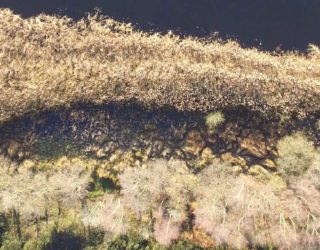 Drones flying high in coastal habitat mapping 1