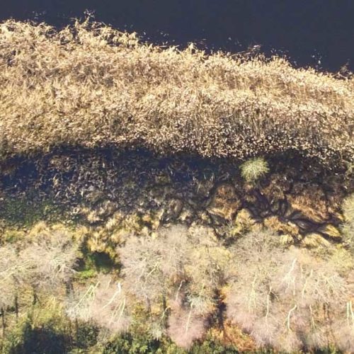 Drones flying high in coastal habitat mapping 1