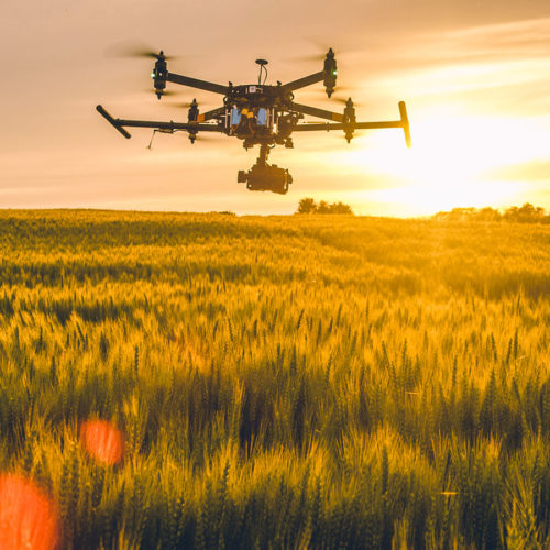 Evolution in EIA - Using Technology to Streamline the Process