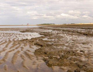 Mud, Mud, Glorious Mud – Particle Size Analysis Explained