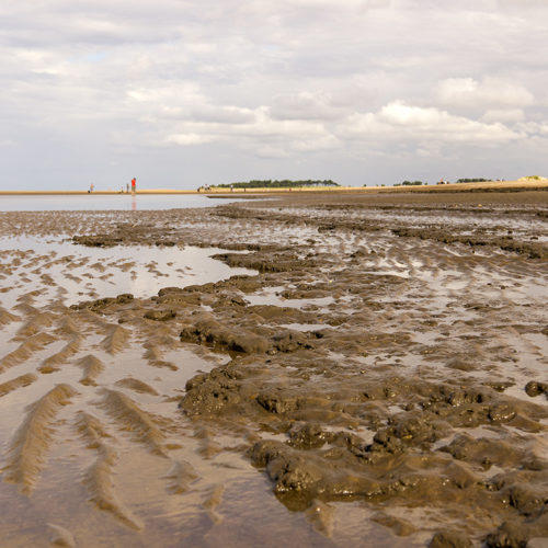 Mud, Mud, Glorious Mud – Particle Size Analysis Explained