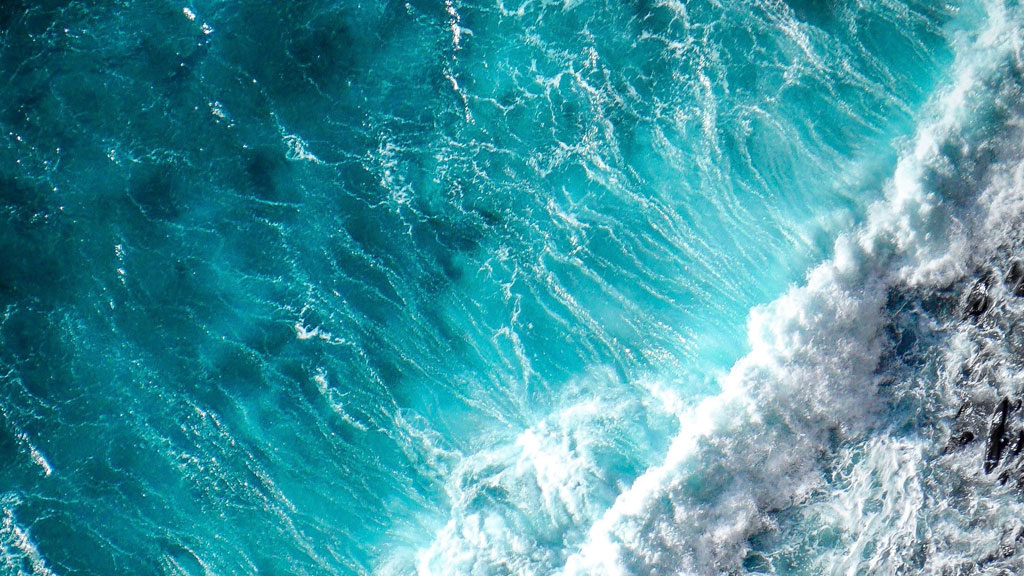 Deep Blue Marine – April Newsletter