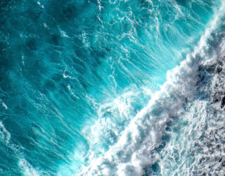 Deep Blue Marine – April Newsletter