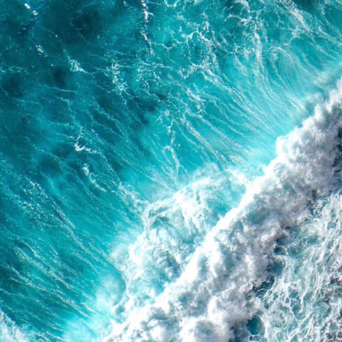 Deep Blue Marine – April Newsletter