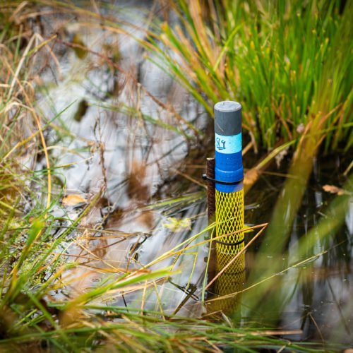 Wetland hydrological monitoring explained 1