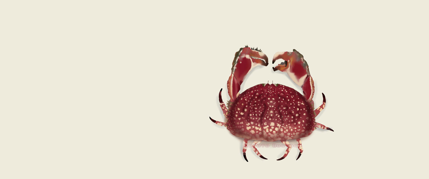 Scientific illustration: when art meets science 2