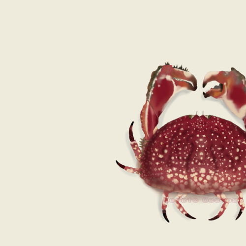 Scientific illustration: when art meets science 2
