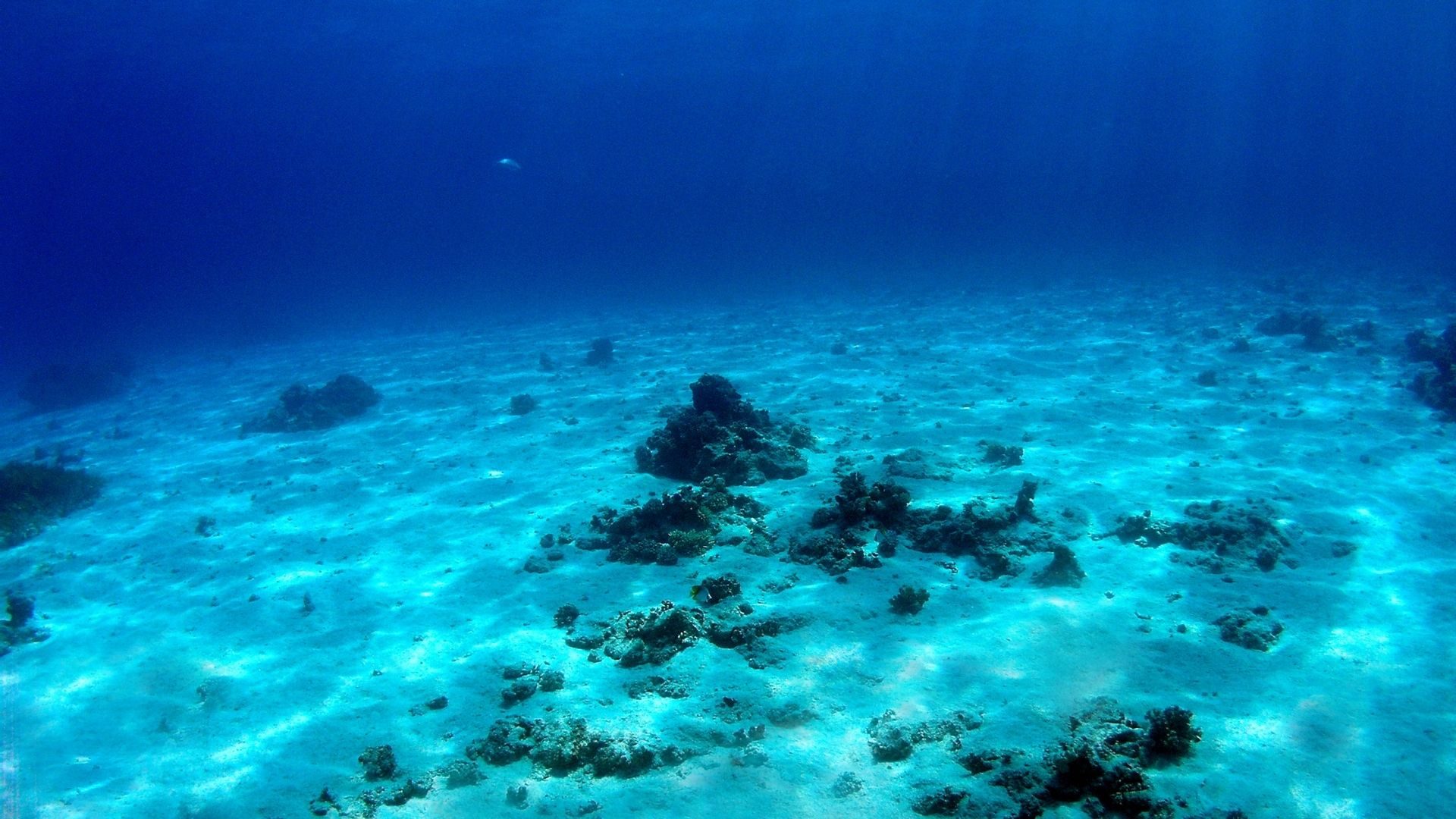 How to classify the marine environment