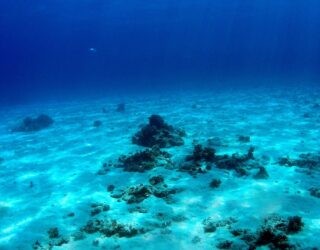 How to classify the marine environment