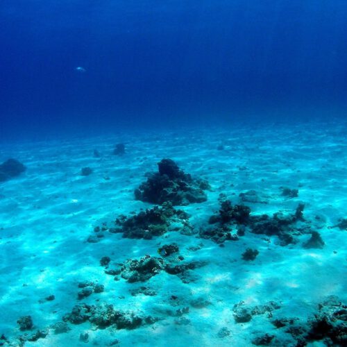 How to classify the marine environment