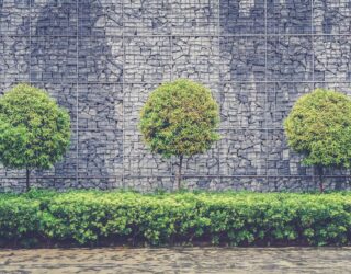 Green and blue infrastructure