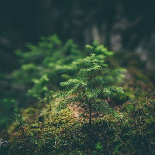 Why we shouldn’t breathe easy