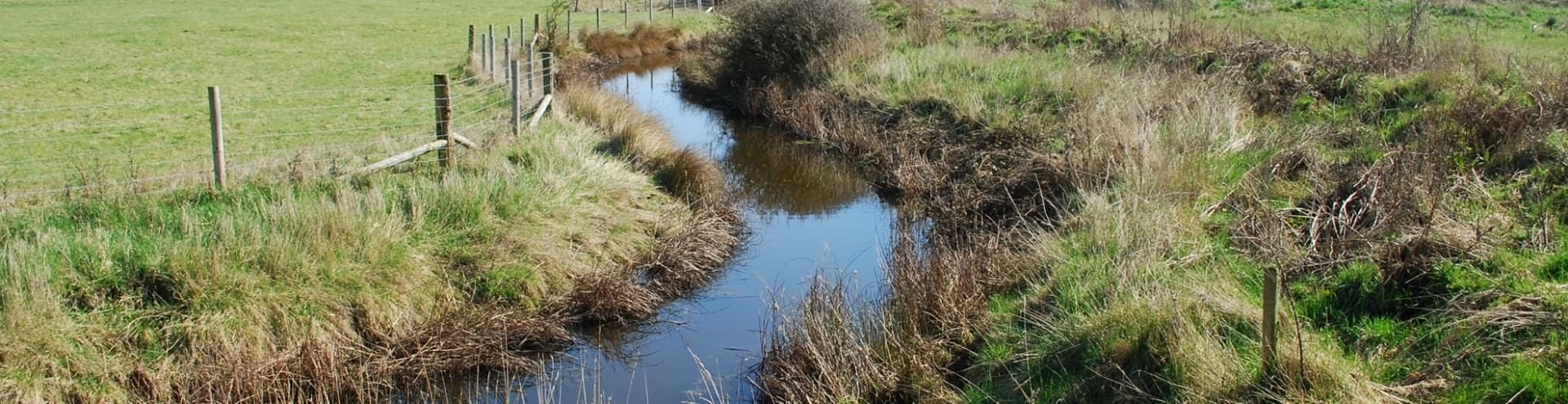 Habitat creation, restoration and management