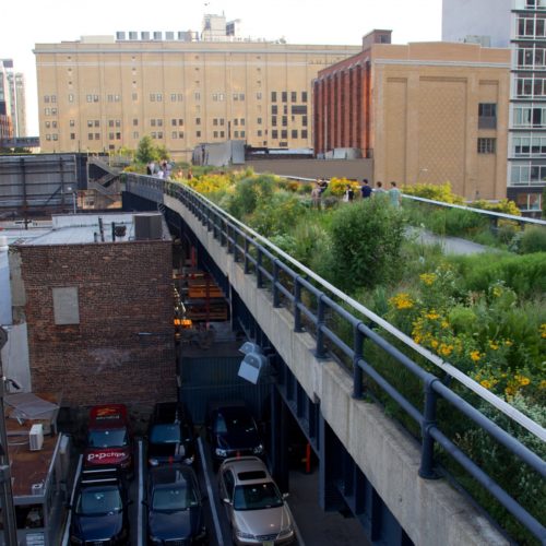 What is the value of nature in our cities?