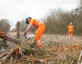 Vegetation clearance