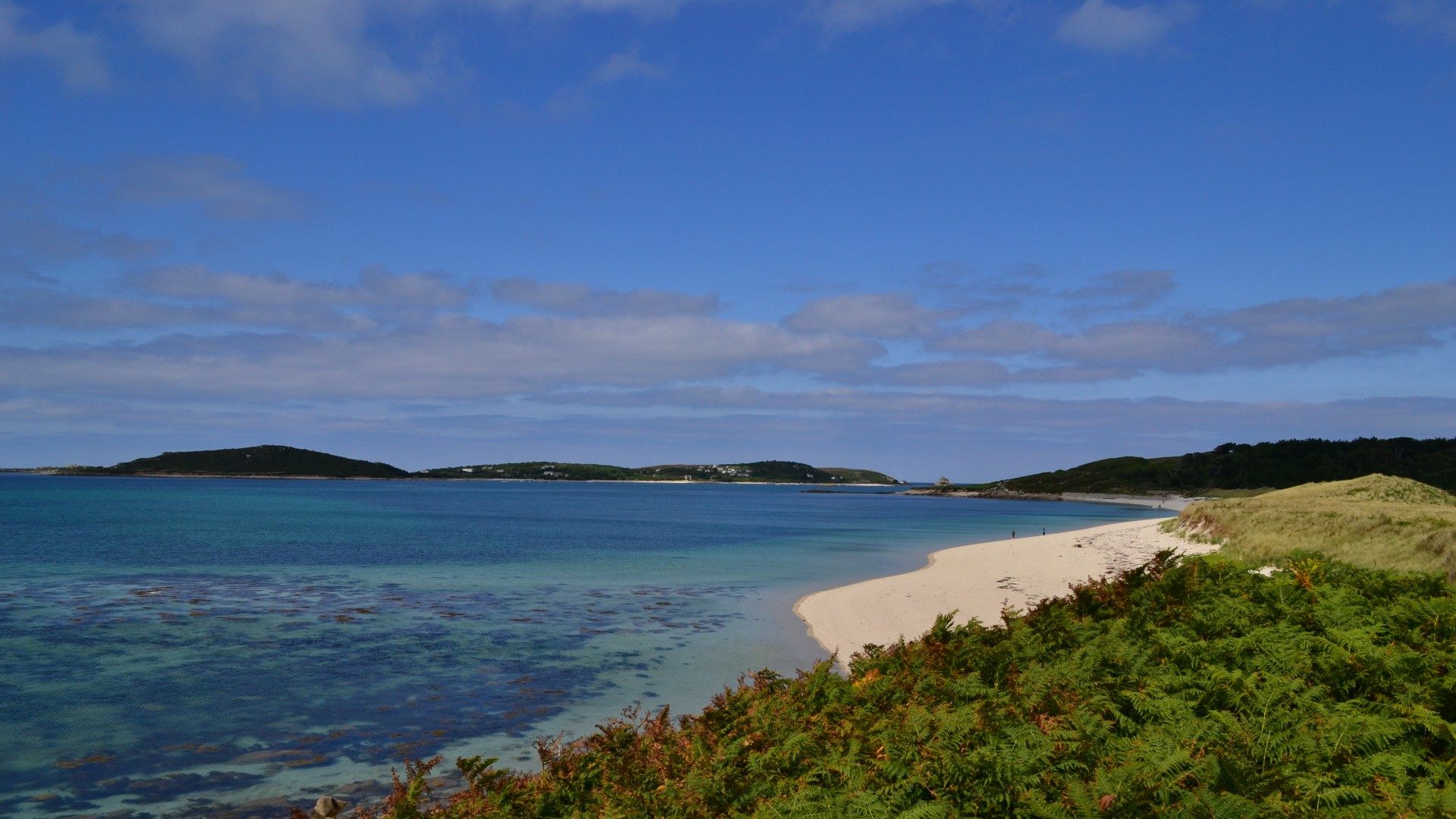 Beachwatch – cleaning our beaches