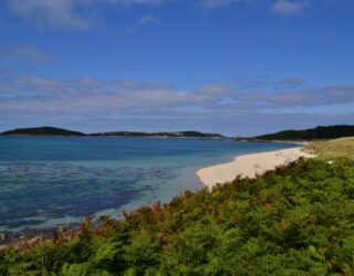 Beachwatch – cleaning our beaches